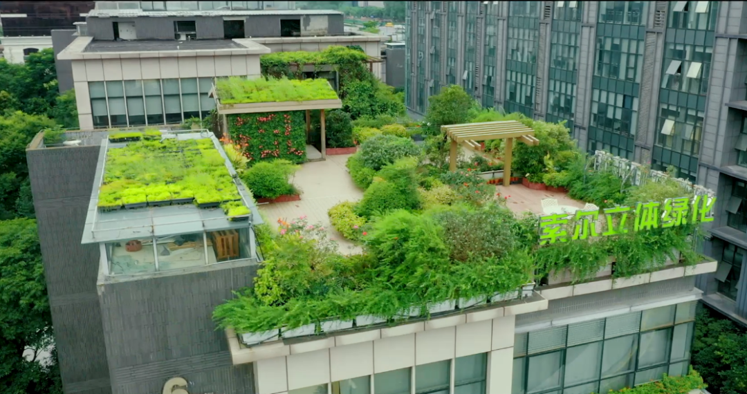 其他行业网络营销案例:从做网络营销到做平台,这家企业如何一步步走向指数化增长? 其他行业网络营销案例:从做网络营销到做平台,这家企业如何一步步走向指数化增长?